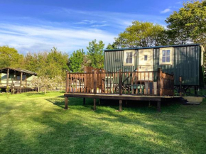 Lilly's Pad